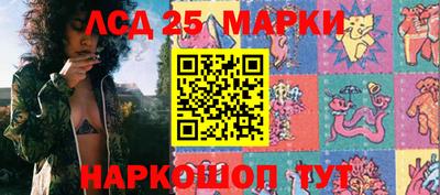 спиды Гай