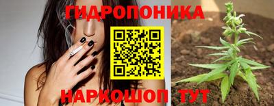 спиды Гай