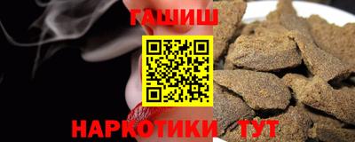 спиды Гай