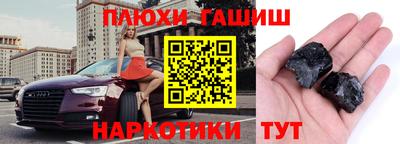 спиды Гай